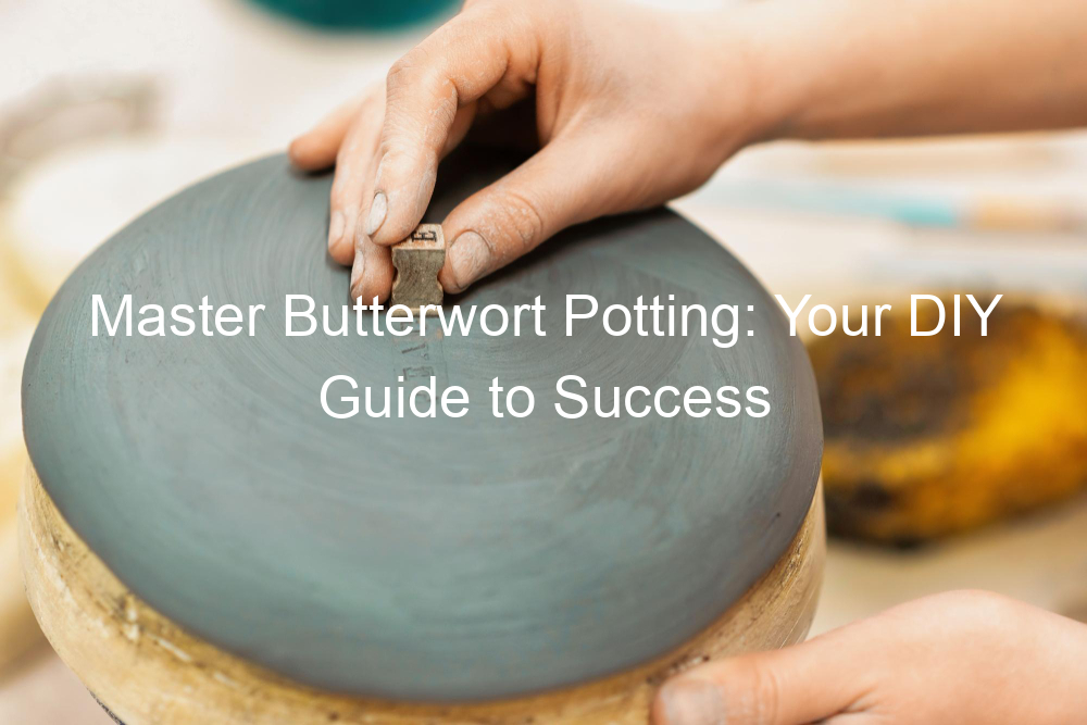 Master Butterwort Potting: Your DIY Guide to Success