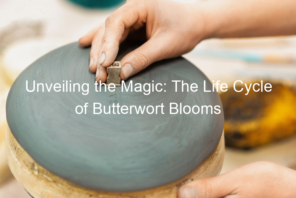 Unveiling the Magic: The Life Cycle of Butterwort Blooms