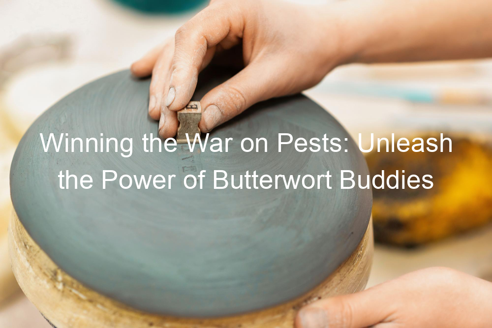 Winning the War on Pests: Unleash the Power of Butterwort Buddies